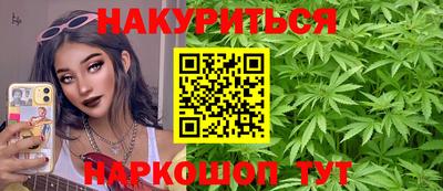 прущие крисы Моздок
