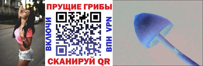 Псилоцибиновые грибы мухоморы  Новокубанск 
