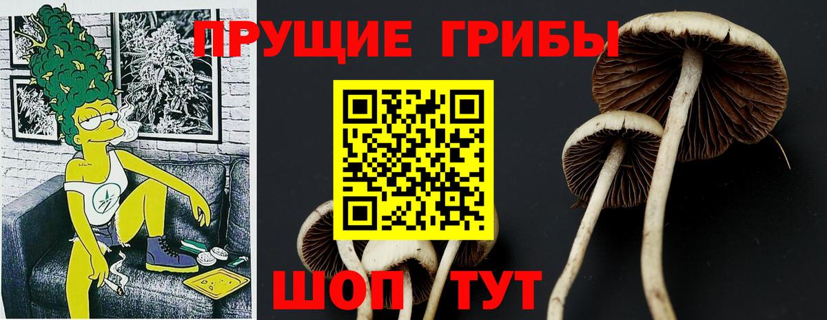 Галлюциногенные грибы Magic Shrooms  Псилоцибиновые грибы Psilocybe  Новокубанск  Вход с VPN 
