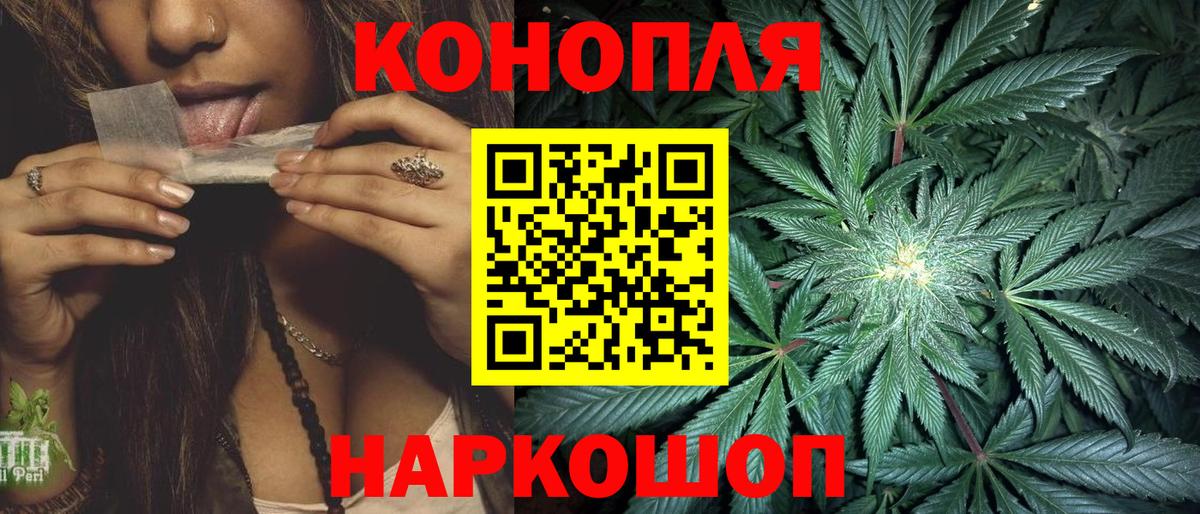 Новокубанск  Канабис сатива  Бошки марихуана семена  Вход с VPN 